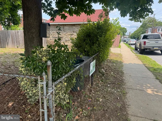 a view of a yard with plants