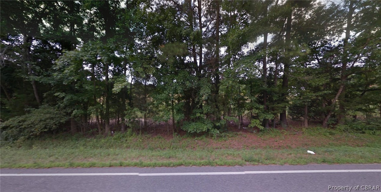 Lot A Twiggs Ferry Road Hartfield, VA 23071 - Photo 4 of 5