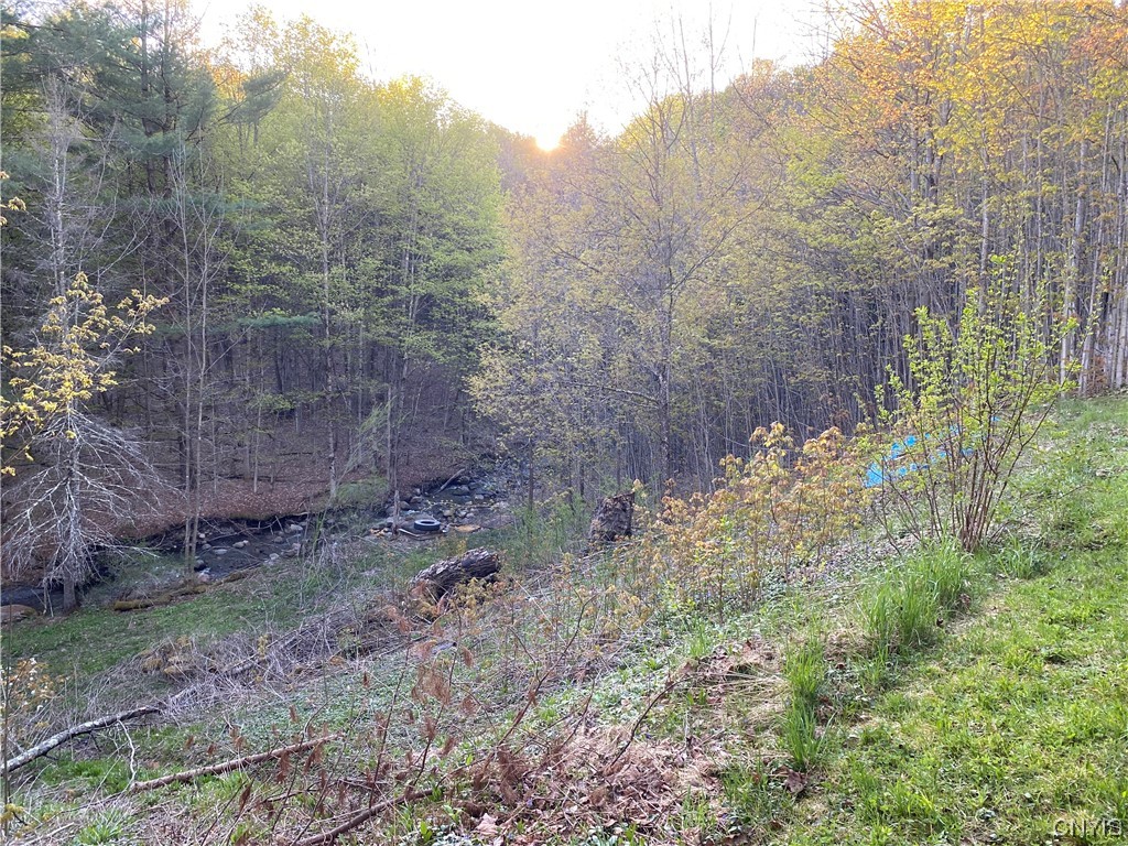 3821 Foothill Road Turin, NY 13473 - Photo 4 of 18