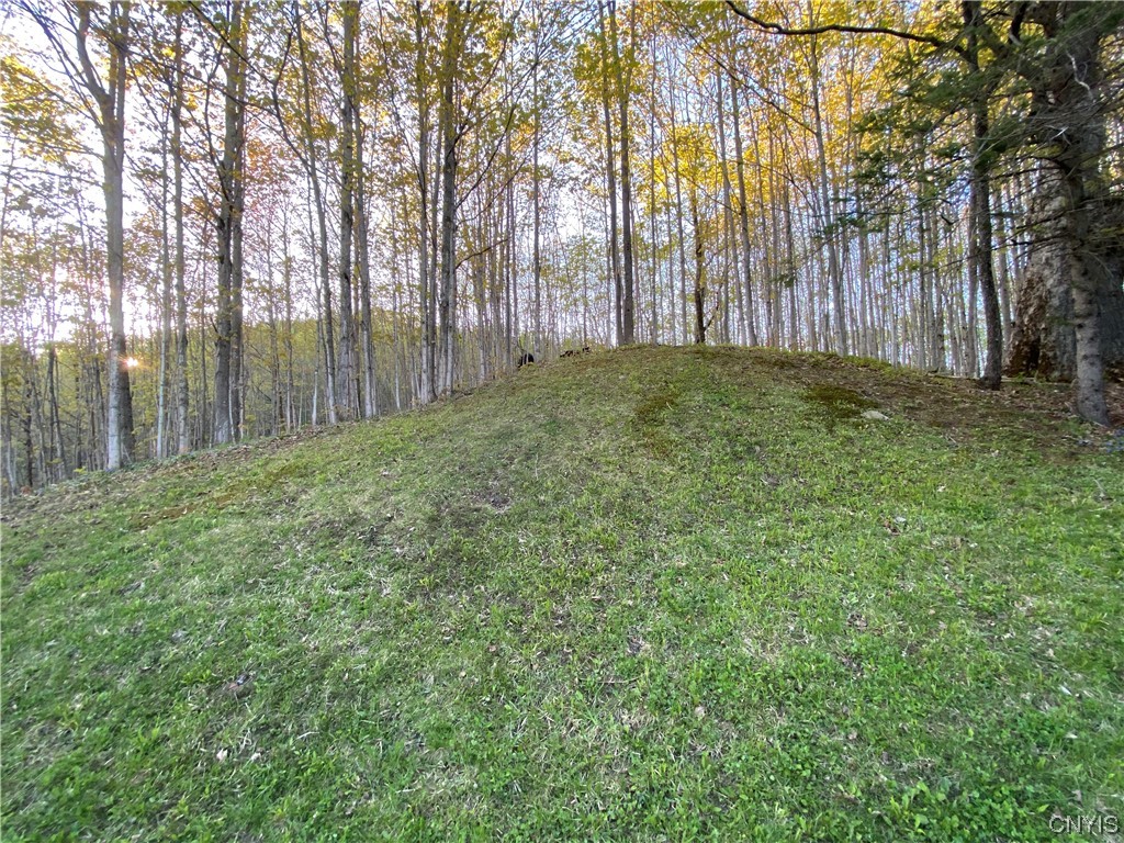 3821 Foothill Road Turin, NY 13473 - Photo 5 of 18