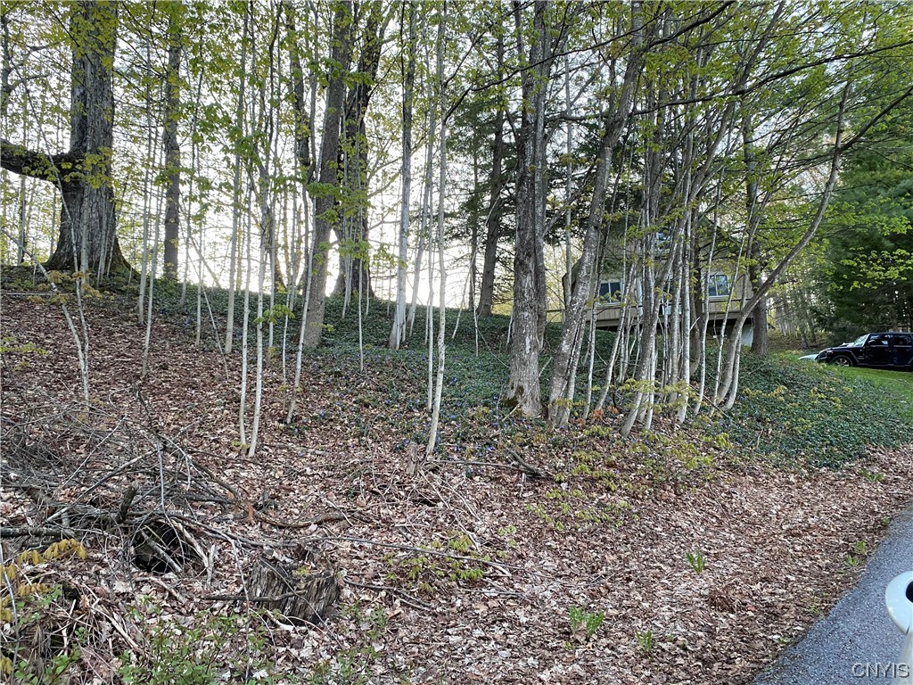 3821 Foothill Road Turin, NY 13473 - Photo 7 of 18