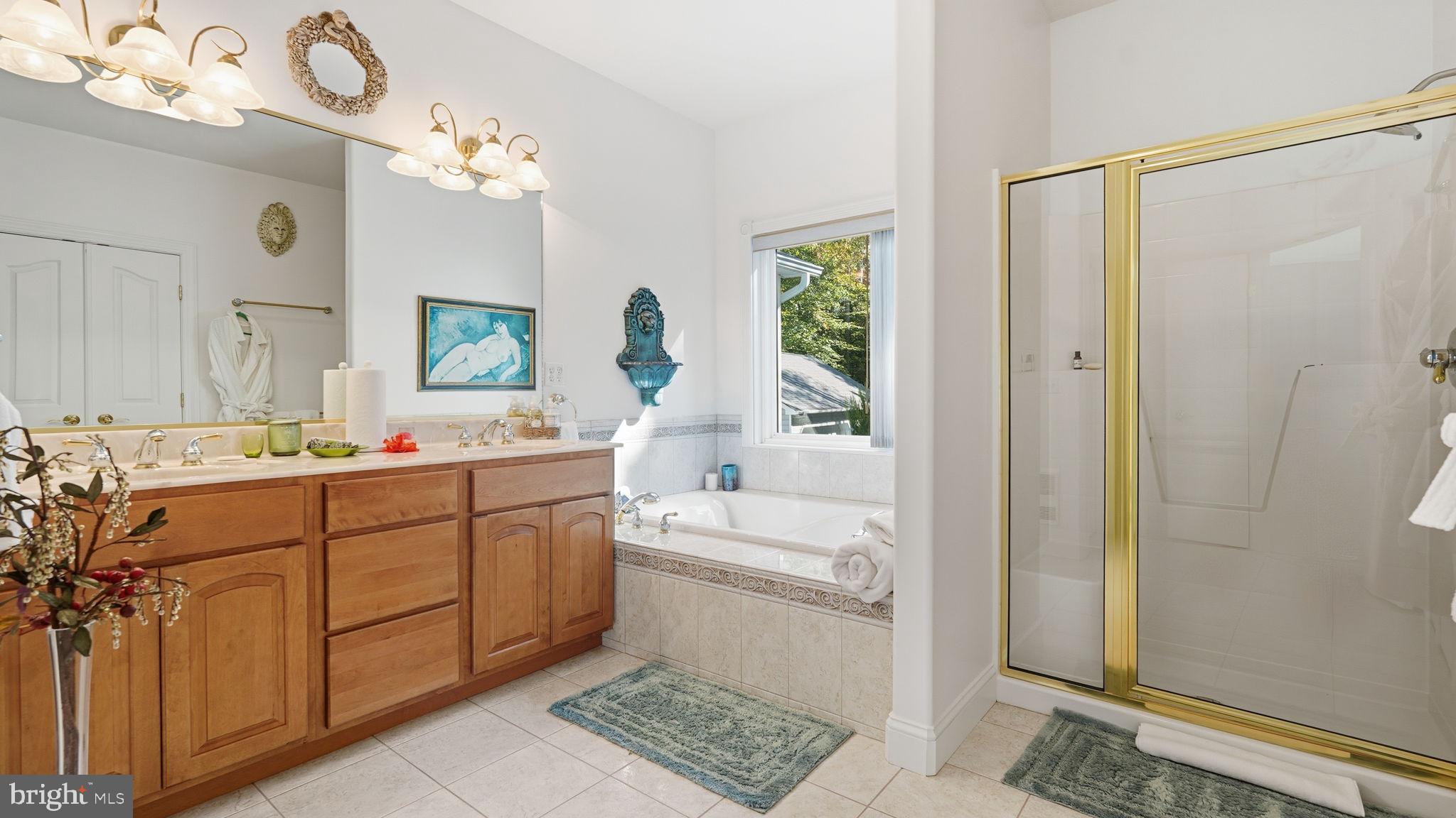 143 Edgemont Circle Locust Grove, VA 22508 - Photo 33 of 80 a bathroom with a double vanity sink a mirror and a bathtub