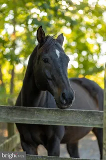 $825,000 | 143 Edgemont Circle, Locust Grove, VA 22508