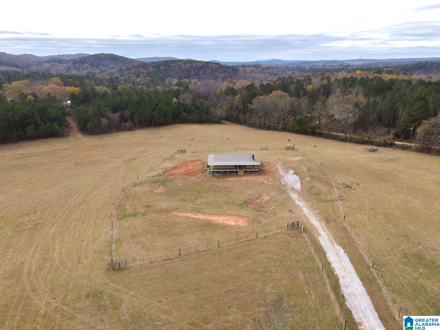 1006 Pepper Road Ashland, AL 36251 - Photo 5 of 32