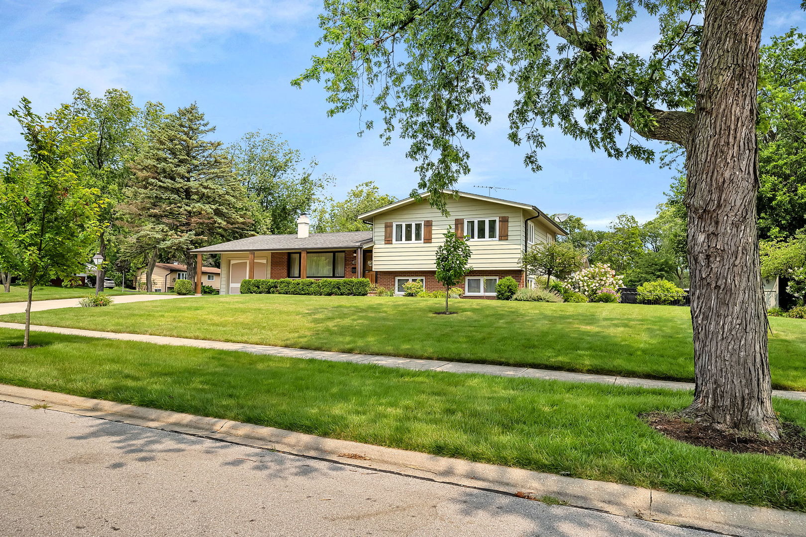640 Kohley Road Lisle, IL 60532 - Photo 3 of 43 Gallery Image 3