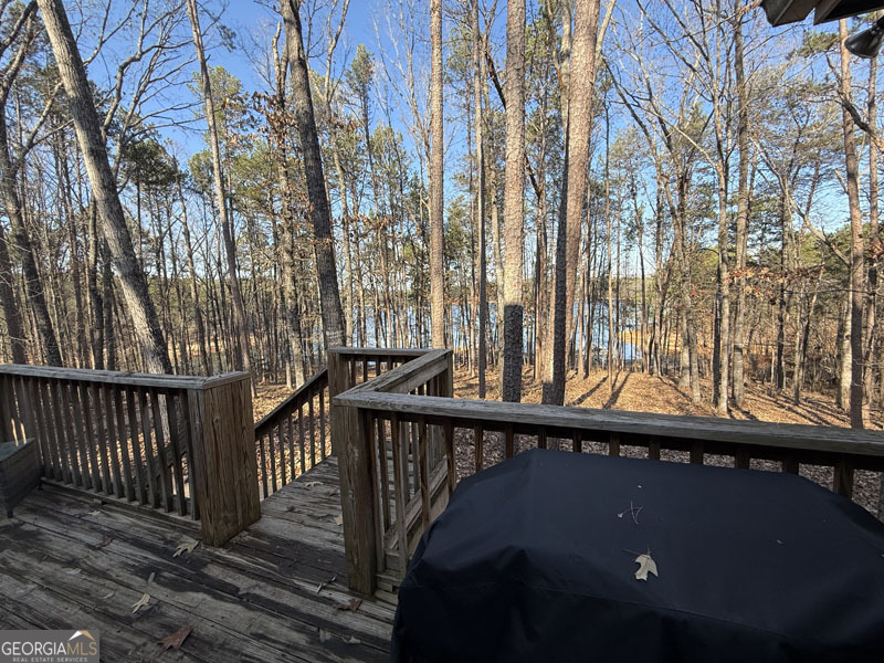 49 Currahee Point Toccoa, GA 30577 - Photo 24 of 30