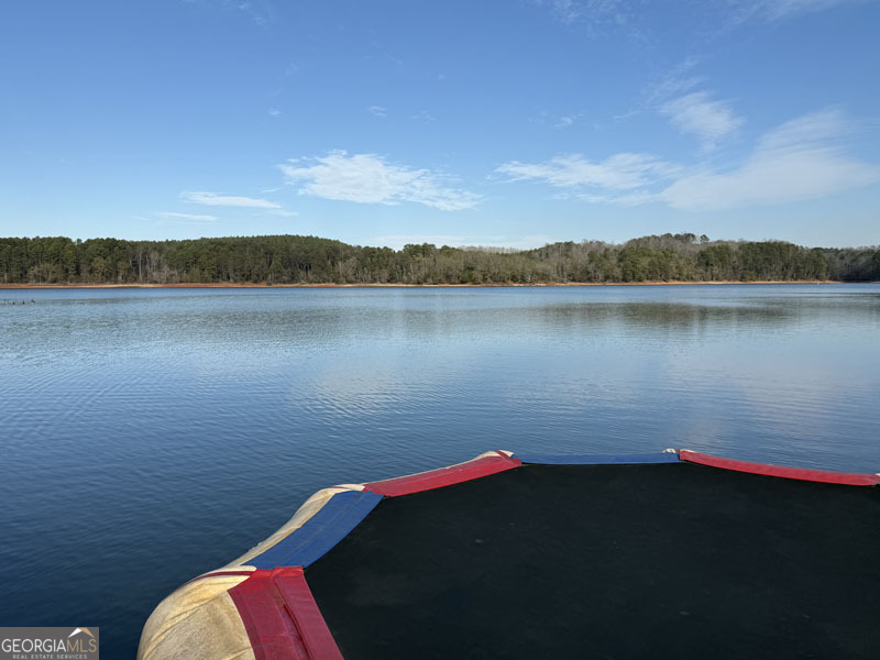 49 Currahee Point Toccoa, GA 30577 - Photo 28 of 30