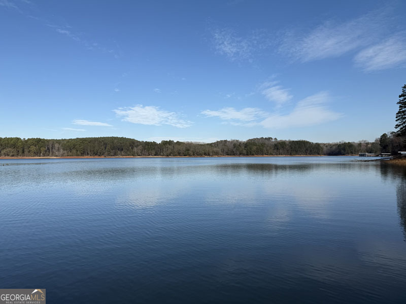 49 Currahee Point Toccoa, GA 30577 - Photo 29 of 30