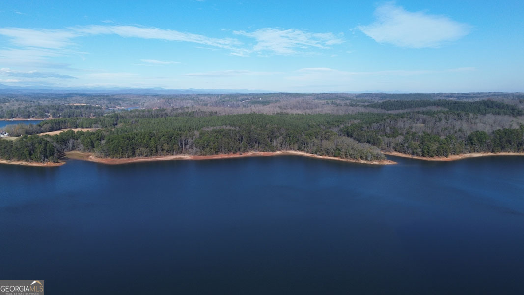 49 Currahee Point Toccoa, GA 30577 - Photo 9 of 30