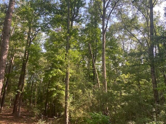 Snell Road Hornbeck, LA 71439 - Photo 1 of 1 Gallery Image 1