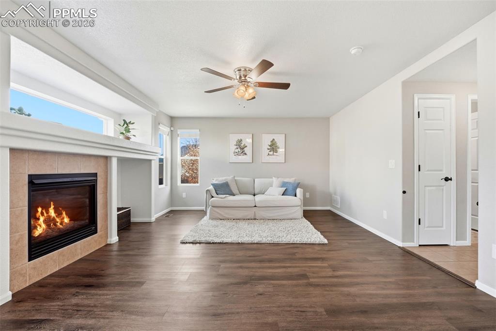 8318 Shadow Run Lane Fountain, CO 80817 - Photo 12 of 50 a living room with furniture and a fireplace