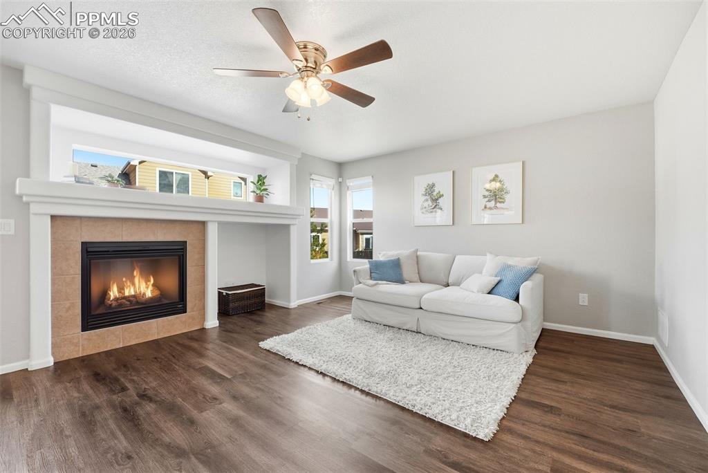 8318 Shadow Run Lane Fountain, CO 80817 - Photo 13 of 50 a living room with furniture and a fireplace