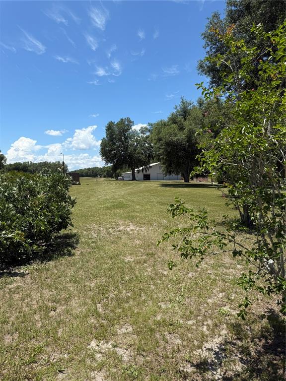 7390 South Mc Alpin Road McAlpin, FL 32062 - Photo 33 of 53 a view of outdoor space and yard