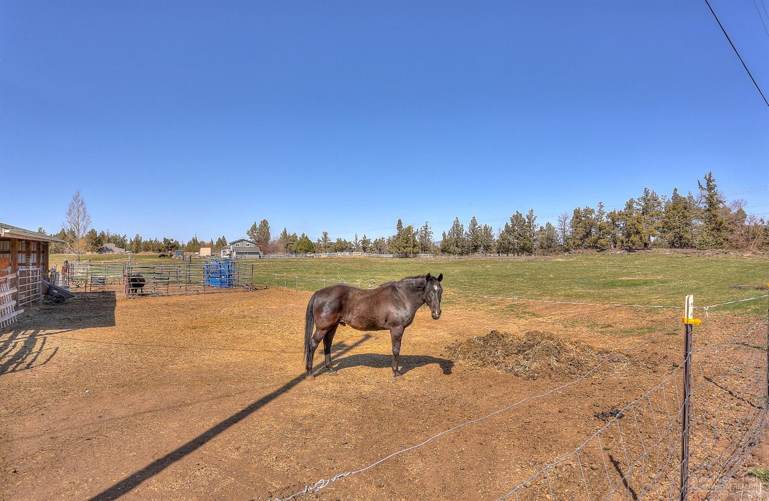 62515 Waugh Road Bend, OR 97701 - Photo 21 of 25 Gallery Image 21