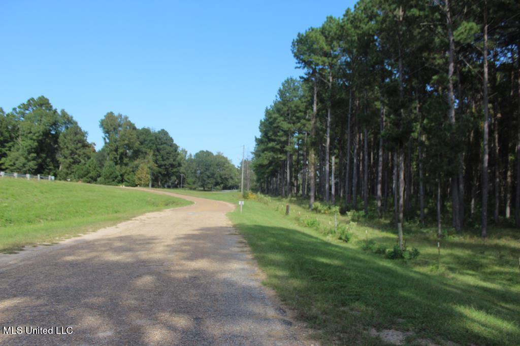East Lower Rockport Road Newhebron, MS 39140 - Photo 13 of 17 50 ac Lower Rock Port Rd 13