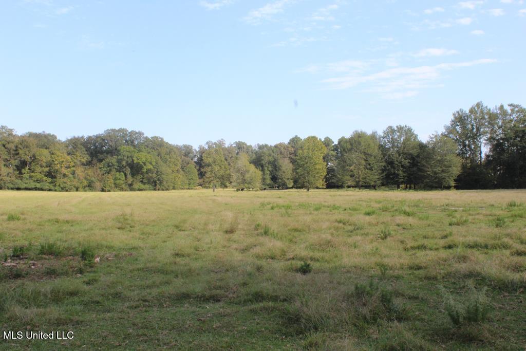 East Lower Rockport Road Newhebron, MS 39140 - Photo 15 of 17 50 ac Lower Rock Port Rd 15