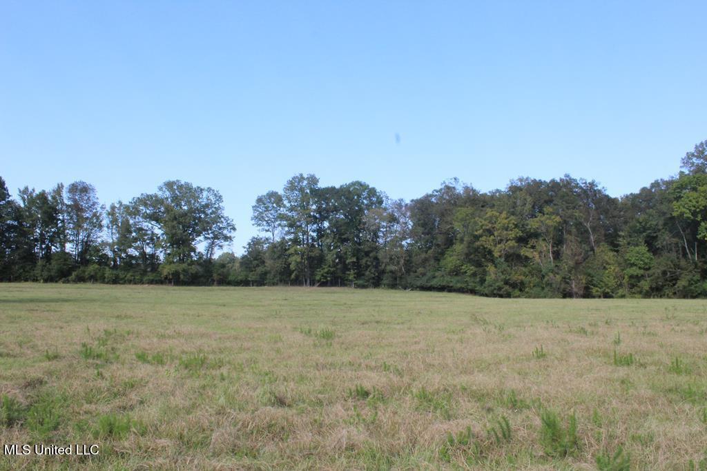 East Lower Rockport Road Newhebron, MS 39140 - Photo 17 of 17 50 ac Lower Rock Port Rd 17