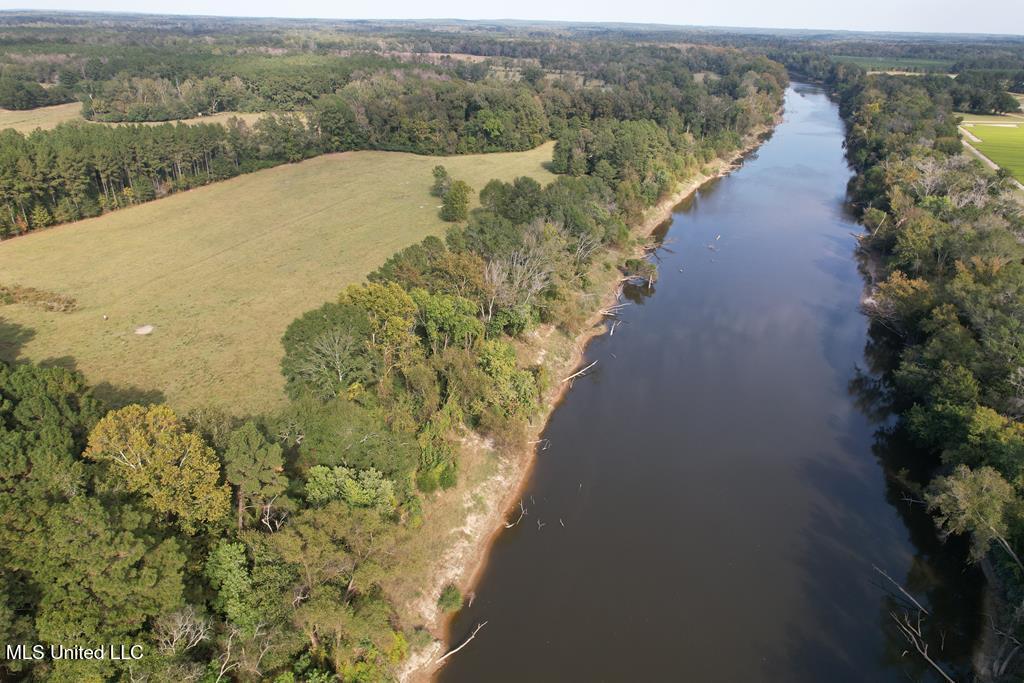 East Lower Rockport Road Newhebron, MS 39140 - Photo 2 of 17 50 ac Lower Rock Port Rd 1