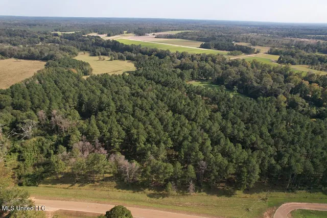 $500,000 | East Lower Rockport Road, Newhebron, MS 39140