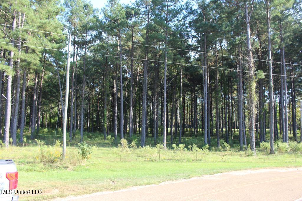 East Lower Rockport Road Newhebron, MS 39140 - Photo 6 of 17 50 ac Lower Rock Port Rd 6