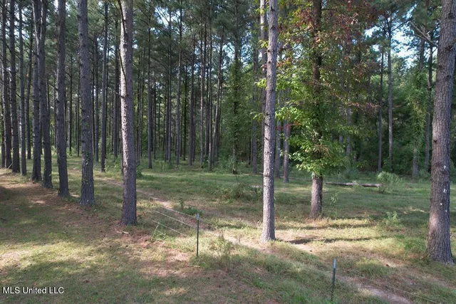 $500,000 | East Lower Rockport Road, Newhebron, MS 39140