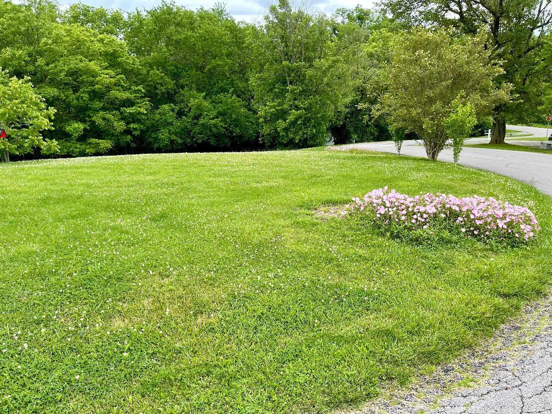 1 B Bakers Acrs Road Carlisle, KY 40311 - Photo 3 of 8 Bakers Acre b 5