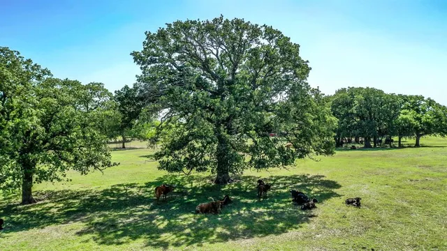 a view of yard with green space