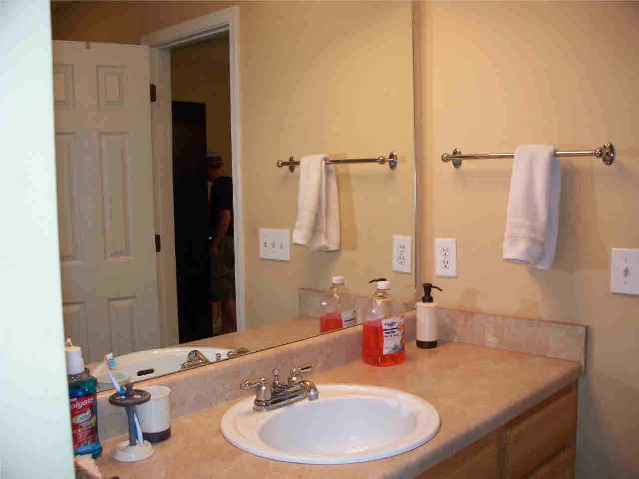 405 Timber Ridge Way Brandon, MS 39047 - Photo 18 of 19 Vanity in master bath