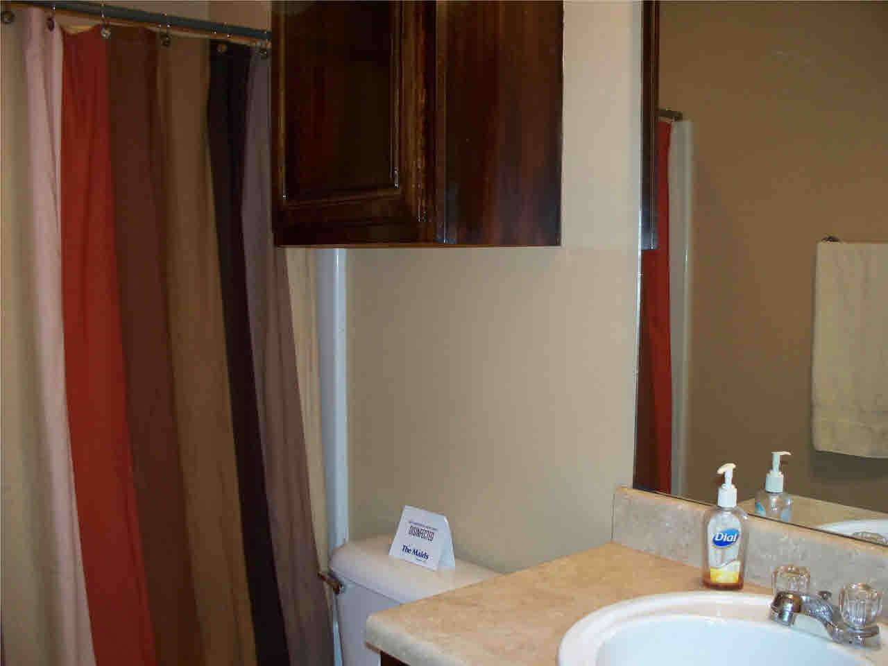 405 Timber Ridge Way Brandon, MS 39047 - Photo 10 of 19 Hall bath with tub/shower combination