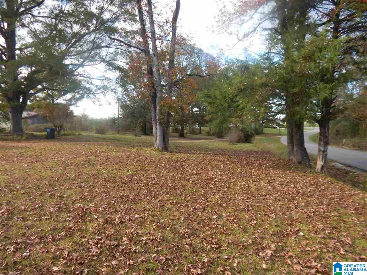 2175 Tabernacle Road Brent, AL 35034 - Photo 4 of 16