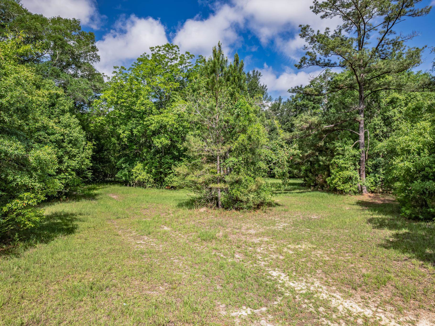 Xx Xx Hough Farm Road Quincy, FL 32351 - Photo 7 of 13