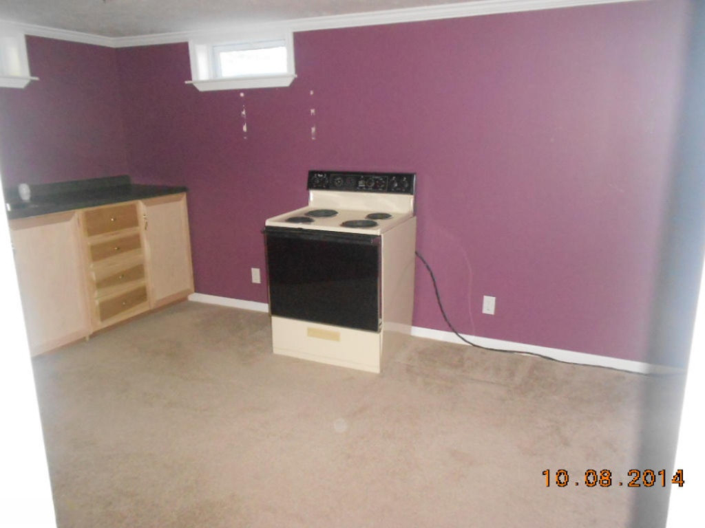 511 North Douglas Avenue Three Rivers, MI 49093 - Photo 13 of 13 DSCN7911