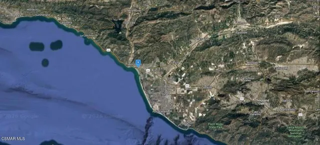 a view of a yard with plants and trees