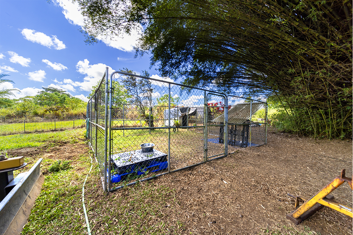 17-497 Homestead Road Kurtistown, HI 96760 - Photo 18 of 28 a view of a park with iron fence