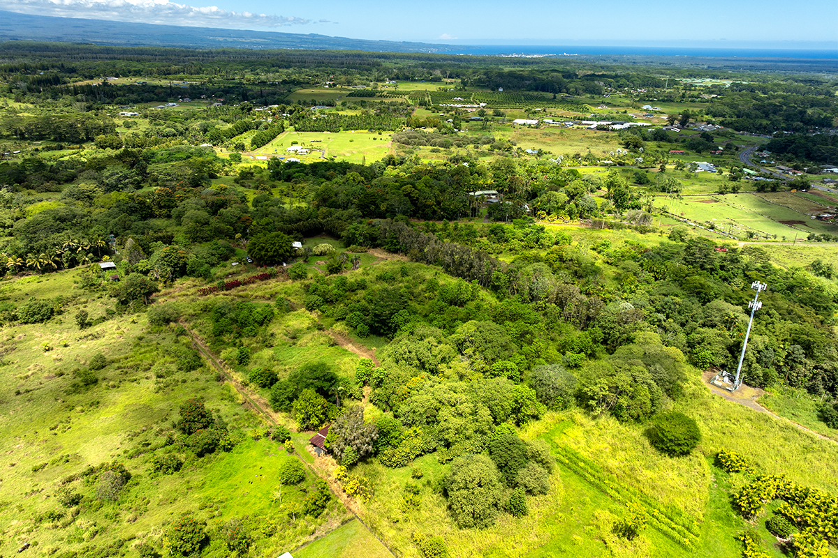17-497 Homestead Road Kurtistown, HI 96760 - Photo 24 of 28 a view of a lush green field