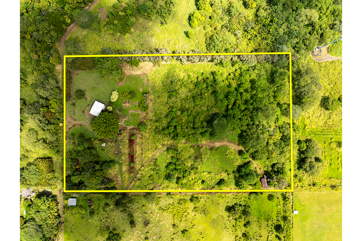 17-497 Homestead Road Kurtistown, HI 96760 - Photo 28 of 28 a view of a yard