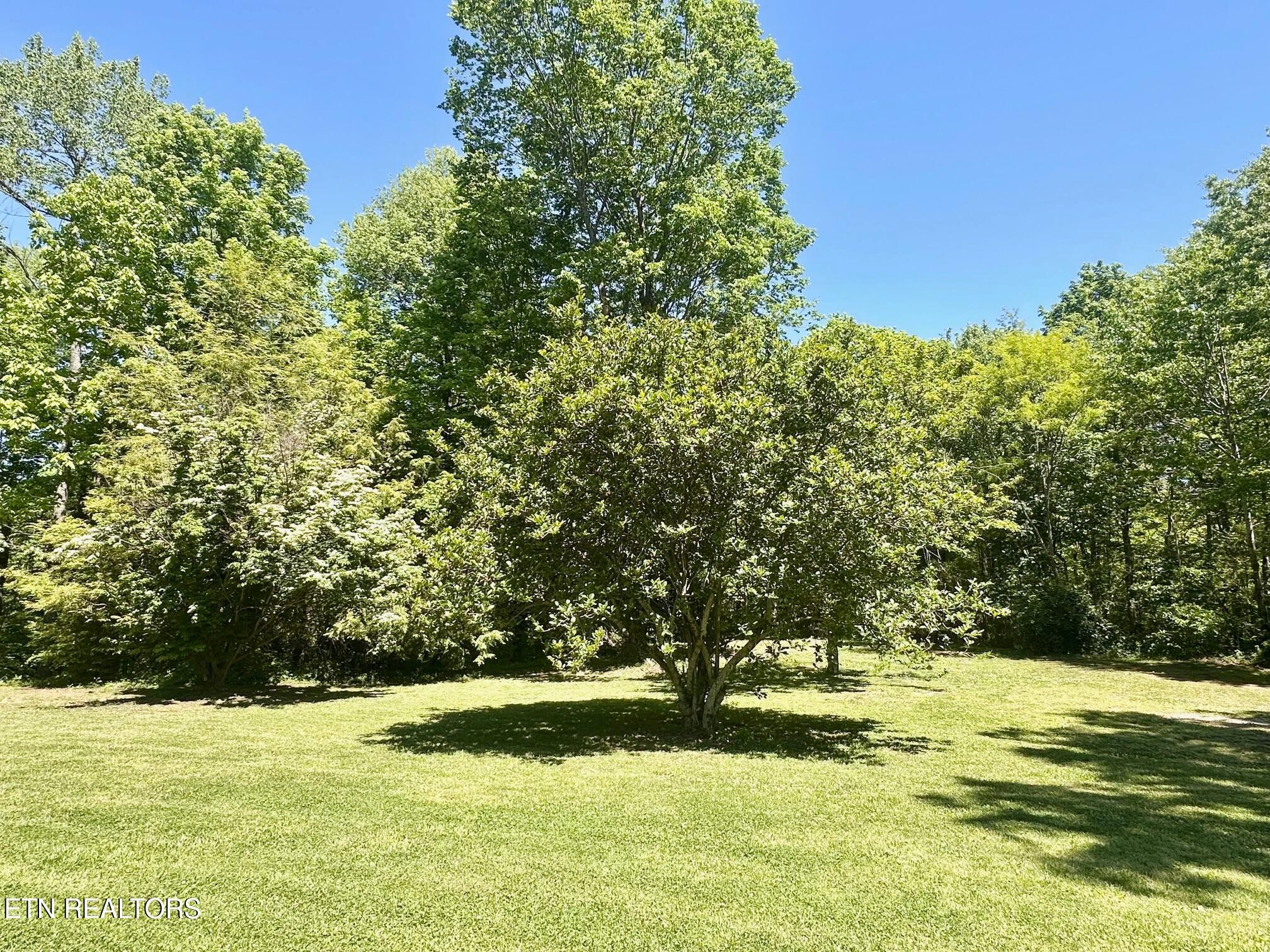 320 Reed Place Monterey, TN 38574 - Photo 23 of 33
