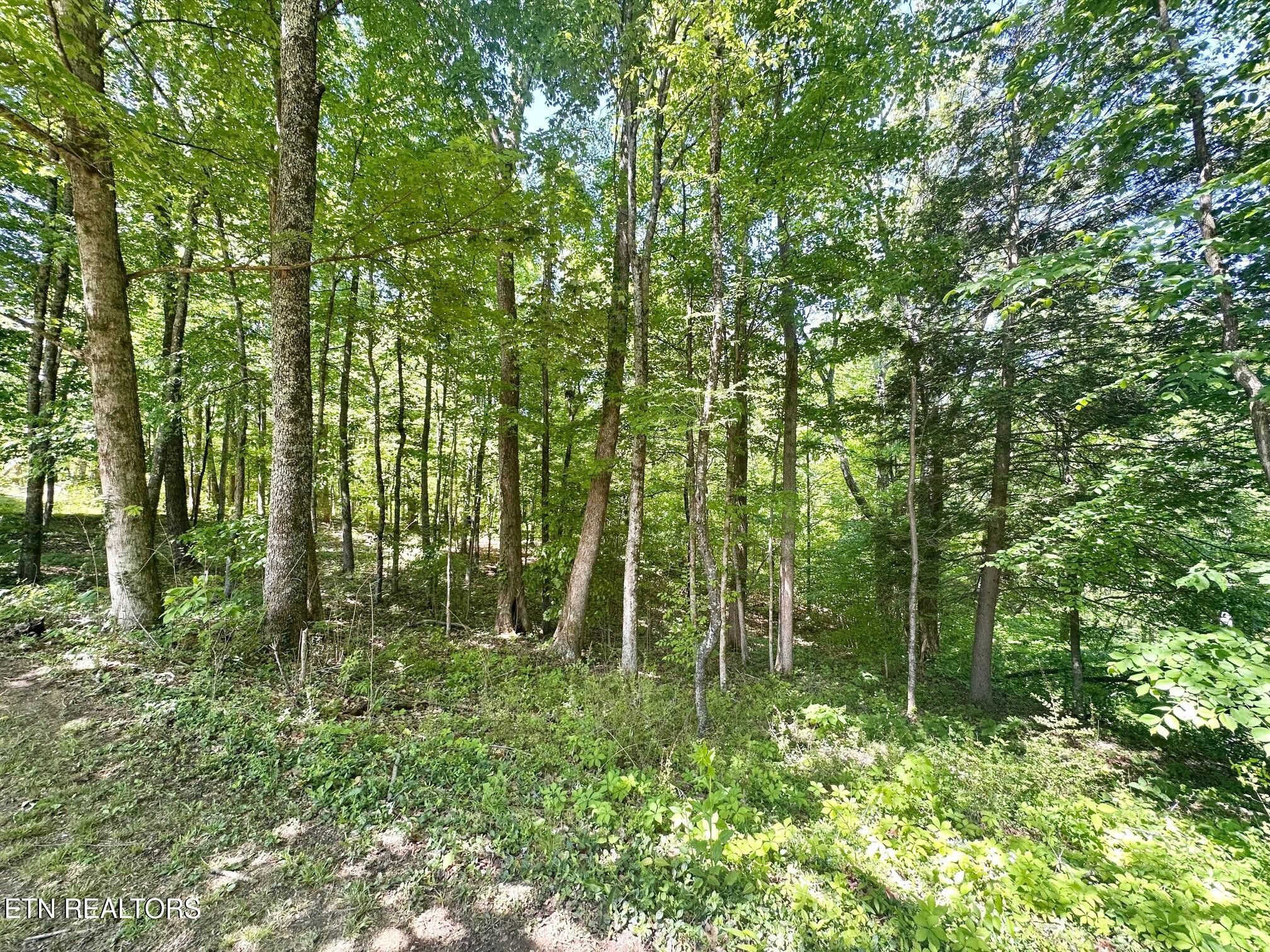 320 Reed Place Monterey, TN 38574 - Photo 31 of 33