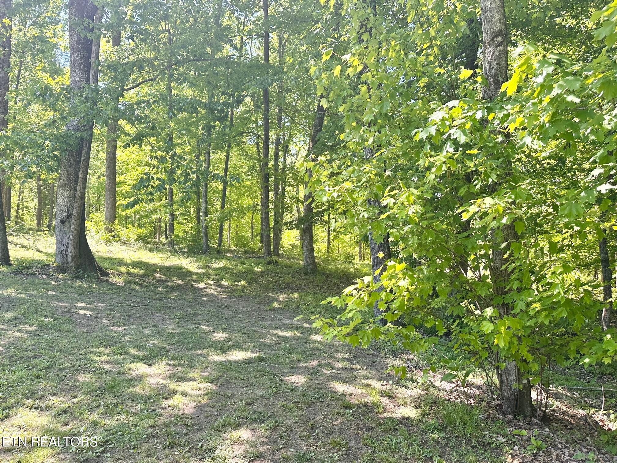 320 Reed Place Monterey, TN 38574 - Photo 32 of 33