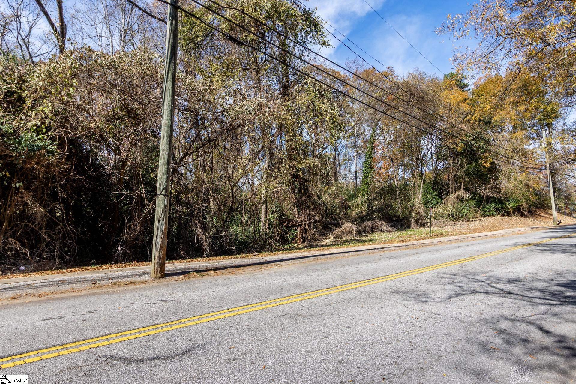 0 Elizabeth Street Clinton, SC 29325 - Photo 2 of 17