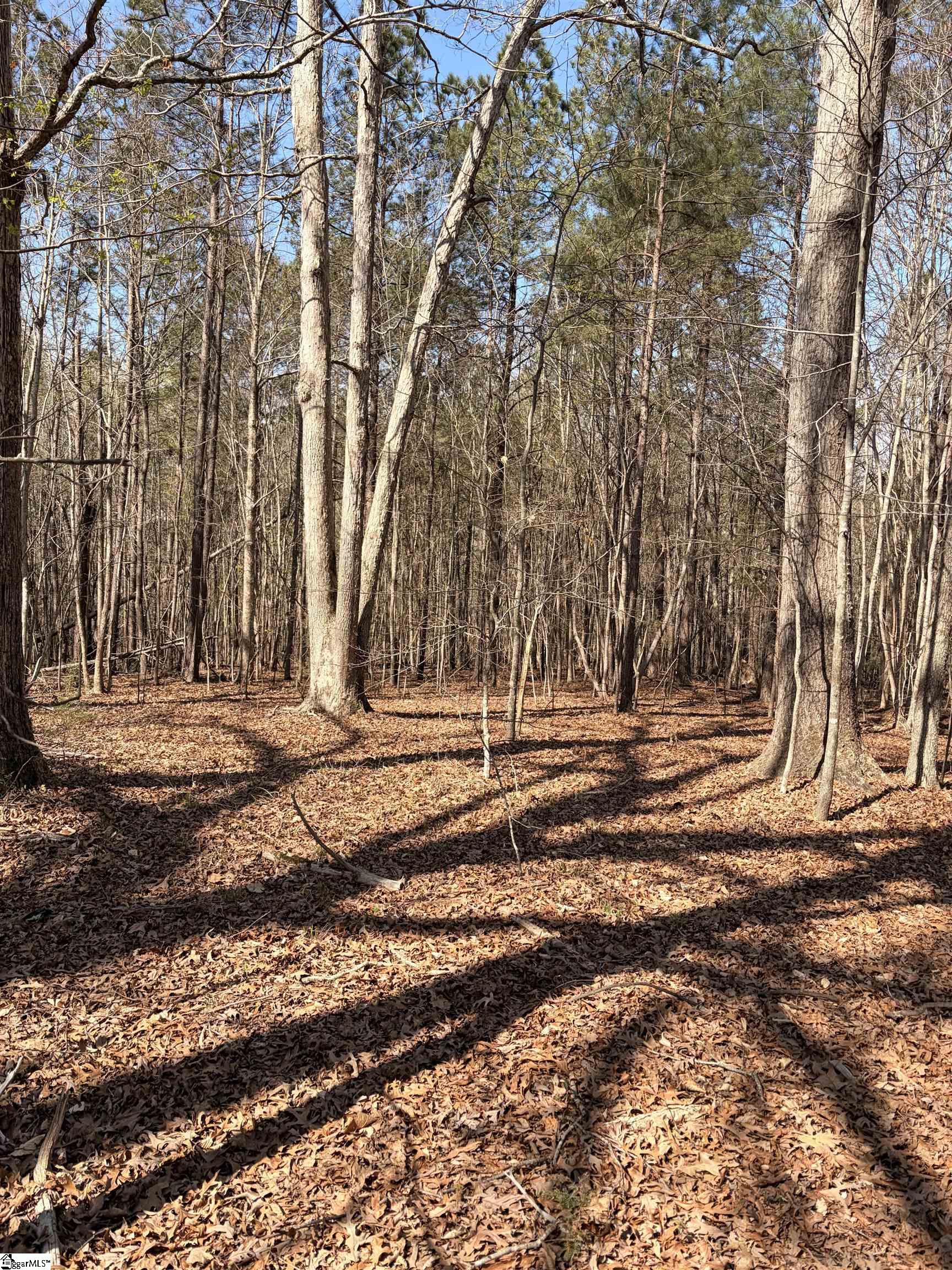 0 Elizabeth Street Clinton, SC 29325 - Photo 2 of 24