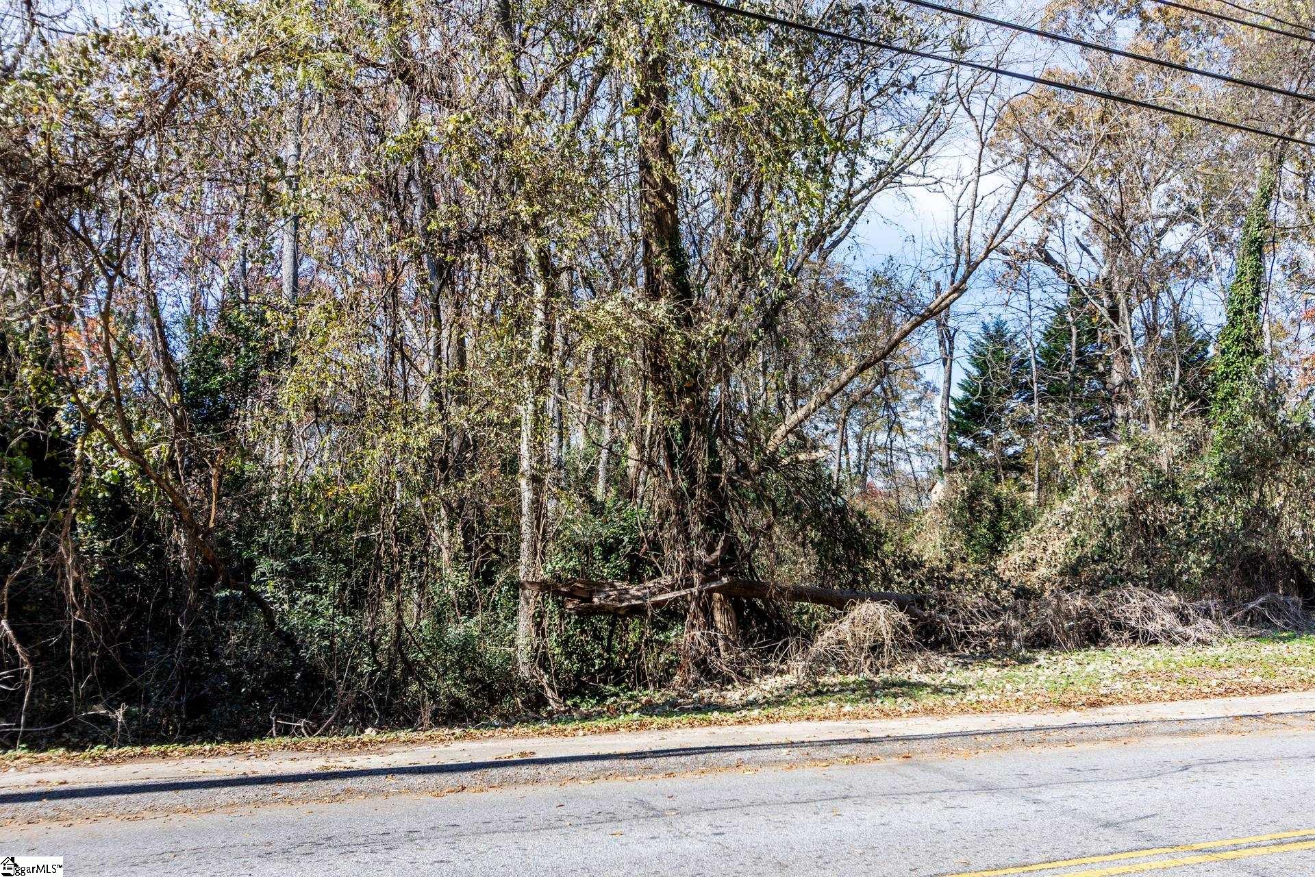 0 Elizabeth Street Clinton, SC 29325 - Photo 4 of 17