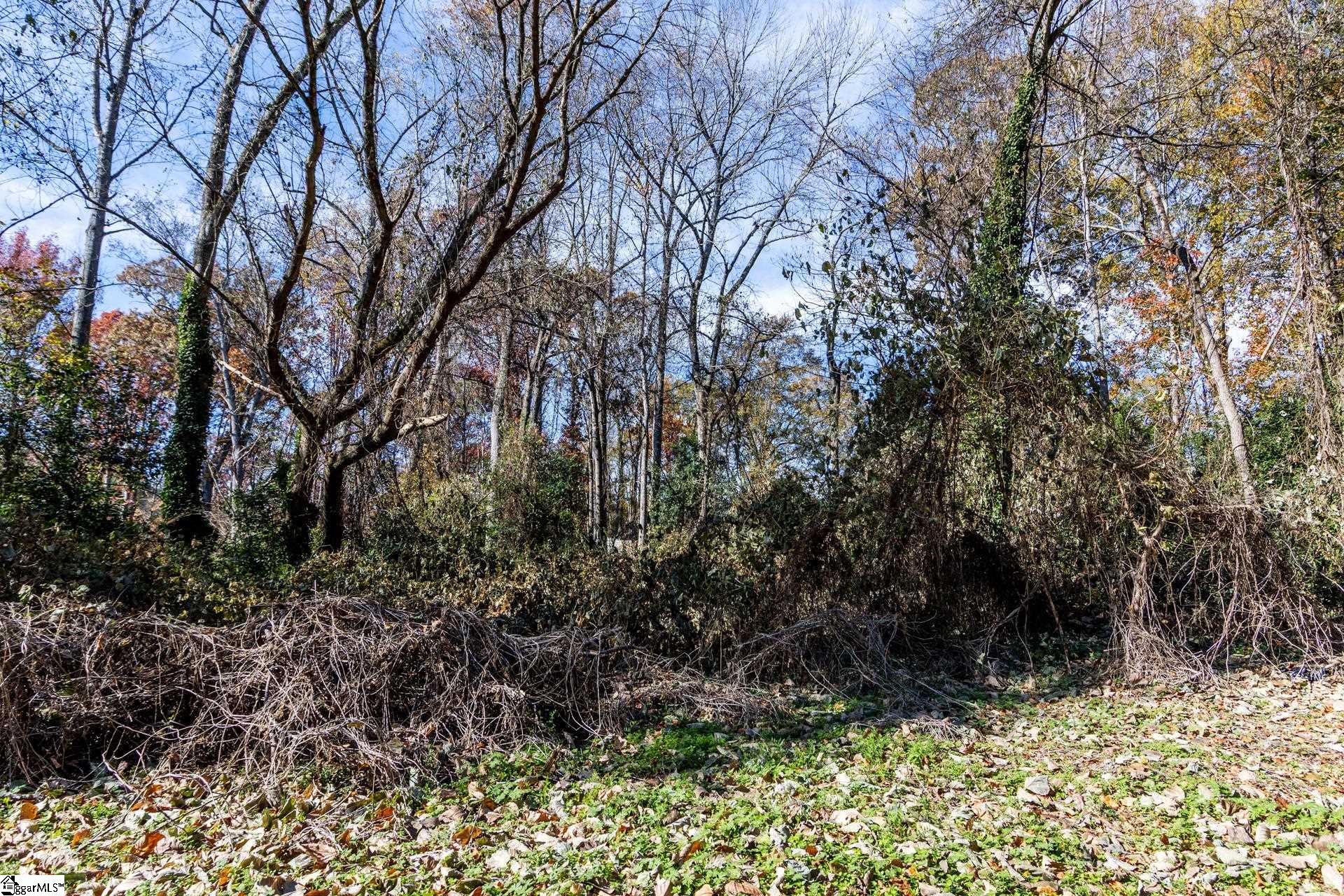 0 Elizabeth Street Clinton, SC 29325 - Photo 5 of 17