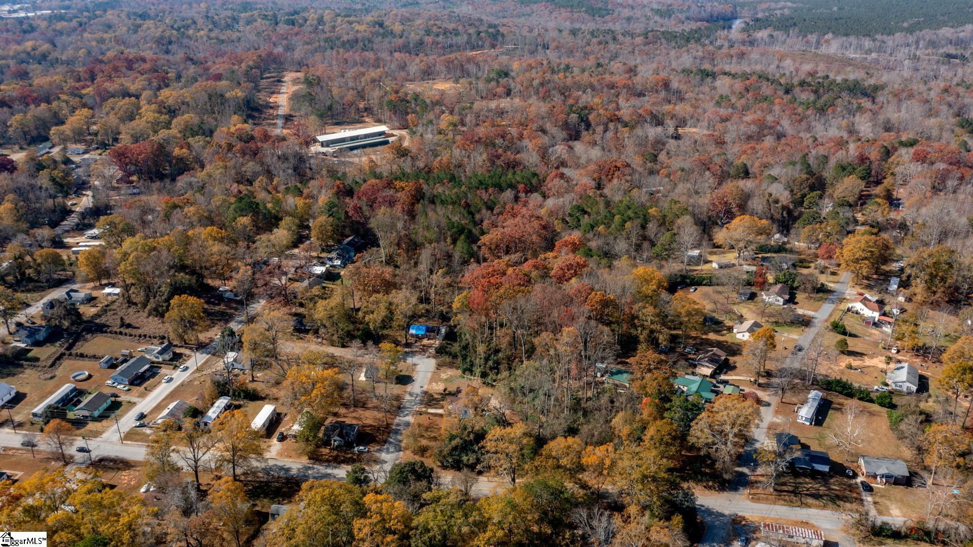 0 Elizabeth Street Clinton, SC 29325 - Photo 6 of 17