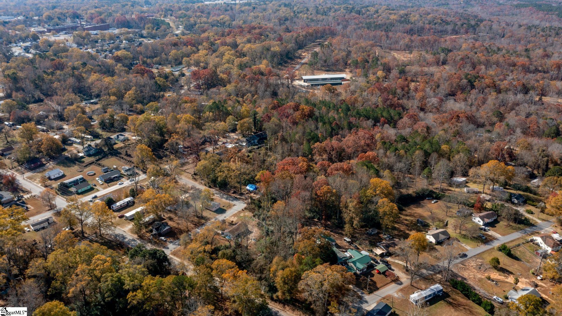 0 Elizabeth Street Clinton, SC 29325 - Photo 8 of 17