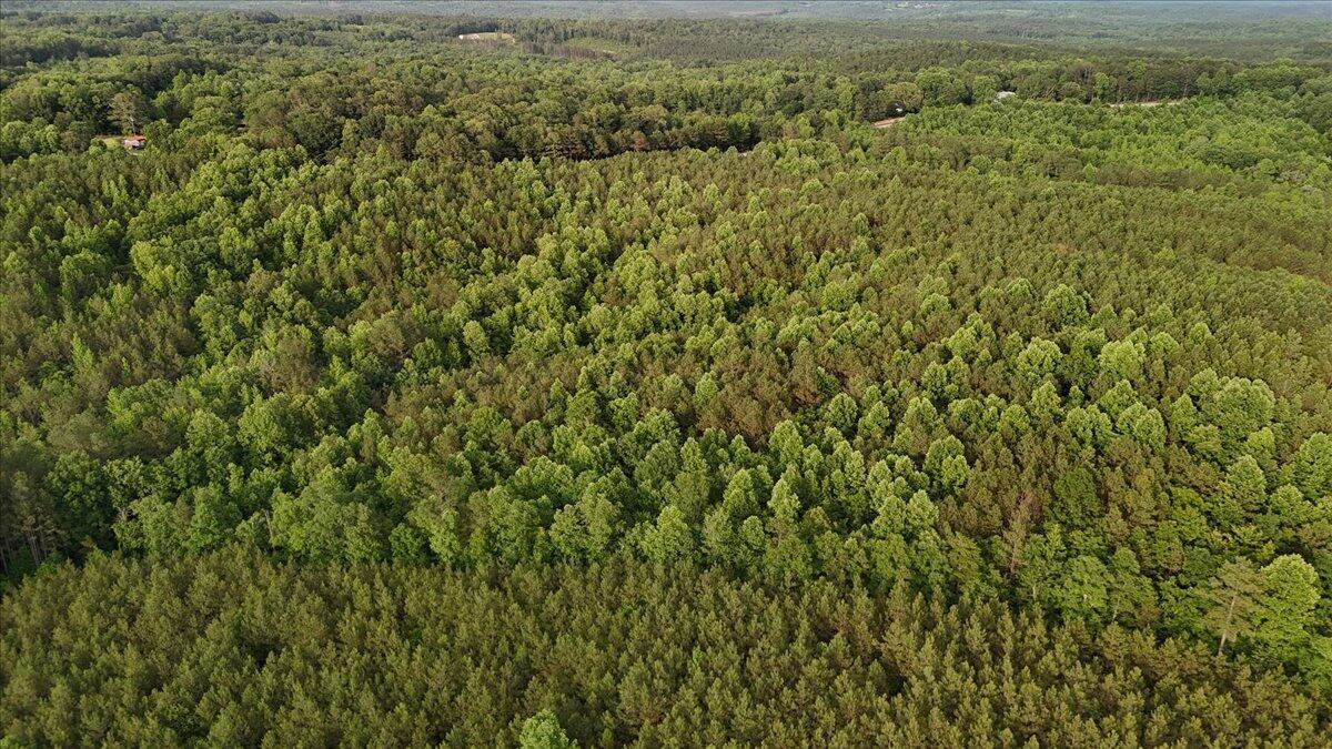 203 Tucker Road Lynn, AL 35575 - Photo 8 of 20 07-Tucker Rd-10