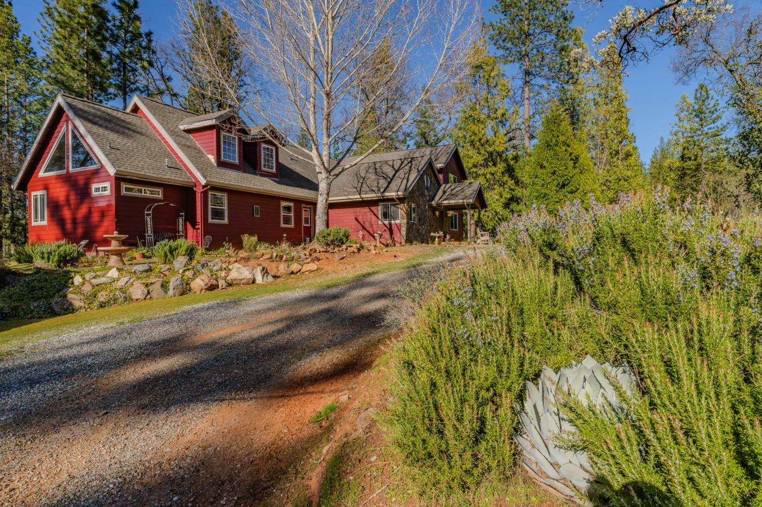 6145 Swiss Ranch Road Mountain Ranch, CA 95246 - Photo 3 of 84