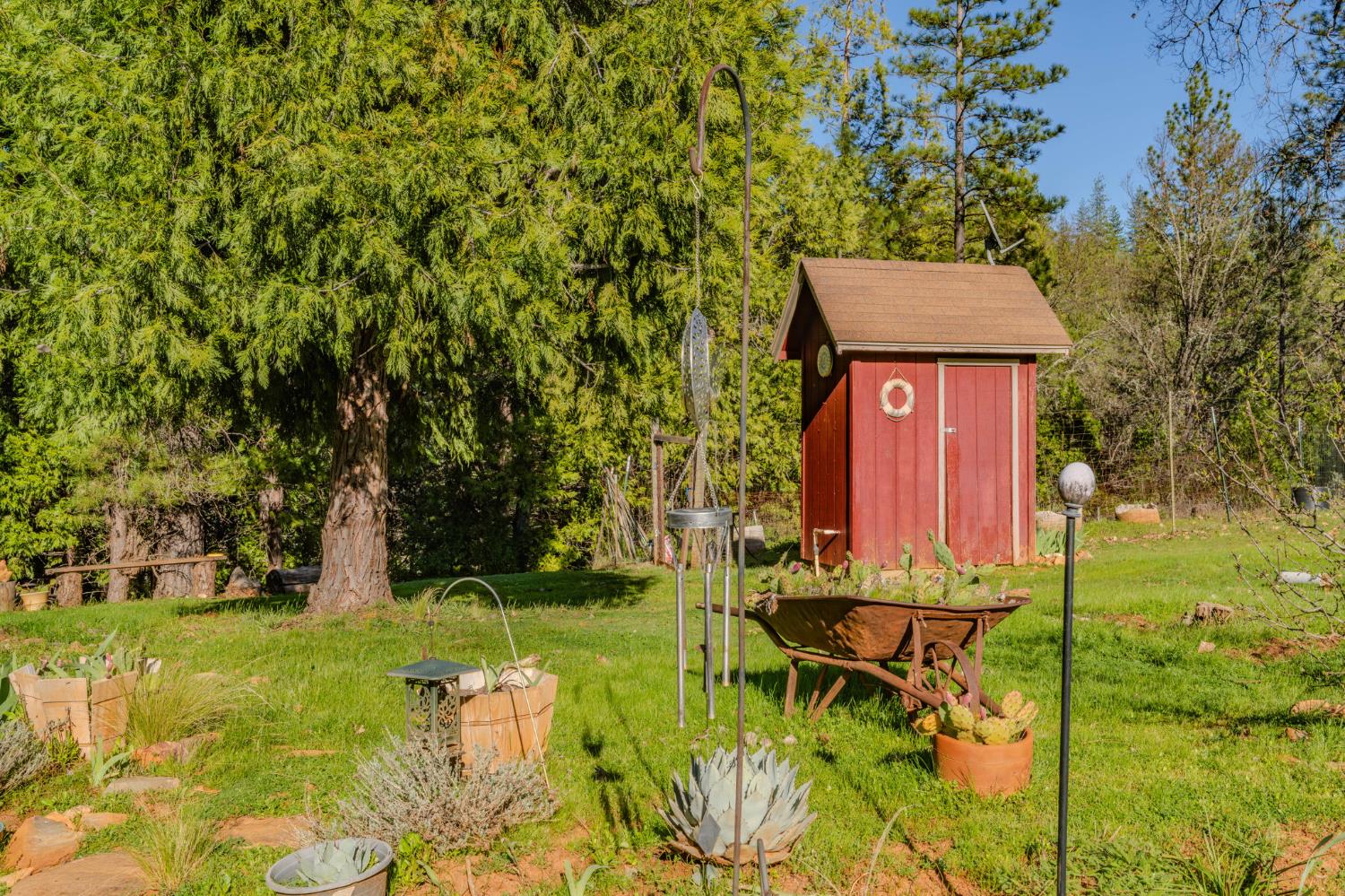 6145 Swiss Ranch Road Mountain Ranch, CA 95246 - Photo 56 of 84 a view of a chairs in a garden