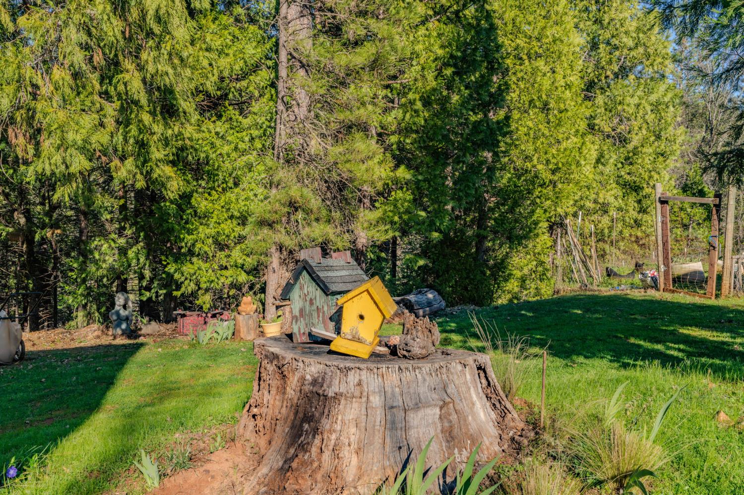 6145 Swiss Ranch Road Mountain Ranch, CA 95246 - Photo 57 of 84 a view of a park with large trees