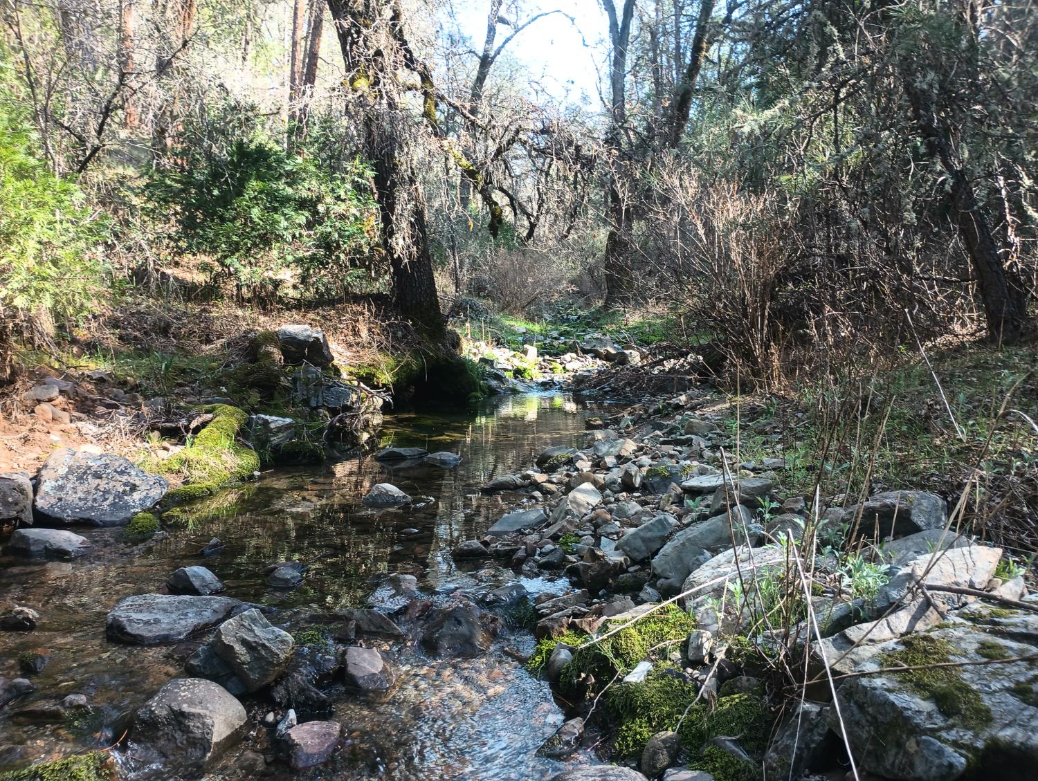 6145 Swiss Ranch Road Mountain Ranch, CA 95246 - Photo 68 of 84